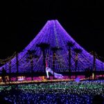 Low Voltage String Lights 24V Low-Voltage Project Light String
