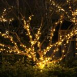 Low Voltage String Lights 24V Low-Voltage Project Light String